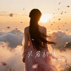 只若初见(深情版)