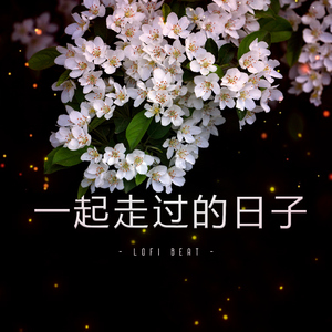 一起走过的日子 (Lofi Beat)