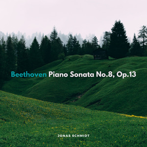 Piano Sonata No.8, Op.13: III. Rondo. Allegro