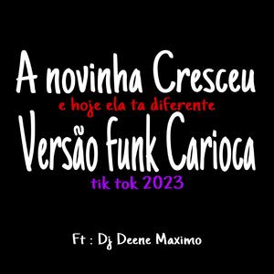 A NOVINHA CRESCEU E HOJE ELA TA DIFERENTE x FUNK CARIOCA