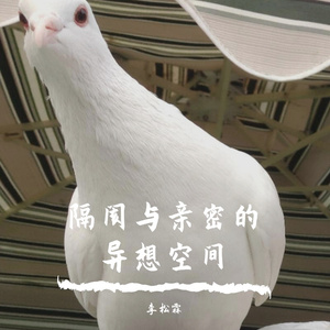 隔阂与亲密的异想空间