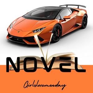 Novel