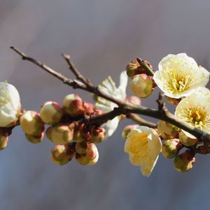 无尽离愁 伴奏