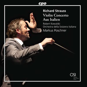 Violin Concerto in D Minor, Op. 8, TrV 110: II. Lento, ma non troppo