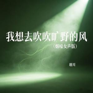 我想去吹吹旷野的风（烟嗓女声版）