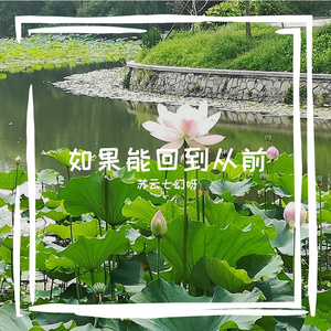 如果能回到从前