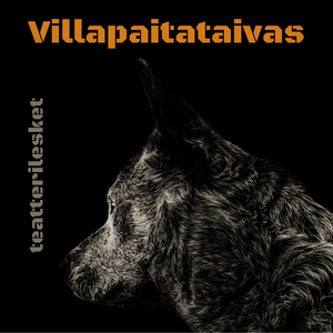Villapaitataivas