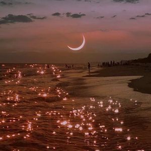 月光专线（cover 单一纯）