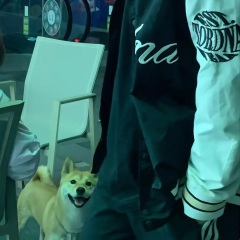 绊爱出场 (钢琴版)