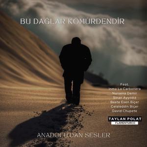 Bu Dağlar Kömürdendir (feat. David Chupete, BESTE Esen BİÇER, Sinan Ayyıldız, Celalettin Biçer & Flamenturco)