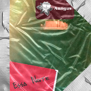 Alguém Que Queira O Seu Bem