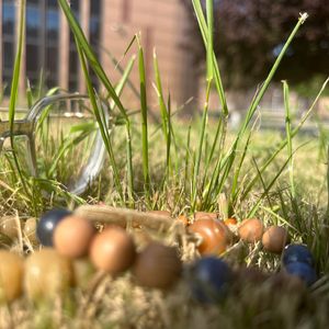 一个人一座城（翻自 曹寅）