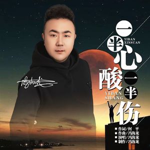 一半心酸一半伤 伴奏