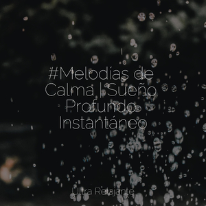Despertares De Primavera