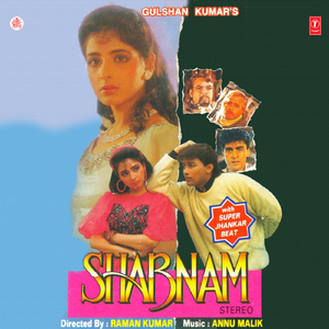 Tera Naam Likhkar Haathon Pe Hum Chooma Karte Hain