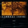 大王叫我来巡山 (DJRN remix)