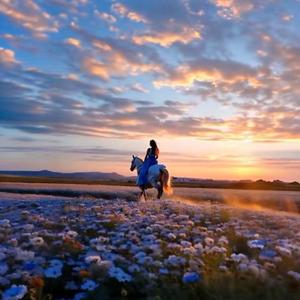 KÜLLERİNDEN DOĞAN GÜNEŞİM