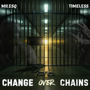 CHANGE OVER CHAINS
