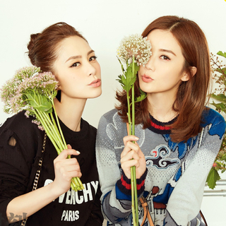 港乐简史①：百花争艳，女歌手篇