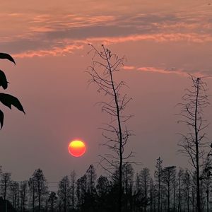 暧昧尽头（Demo）