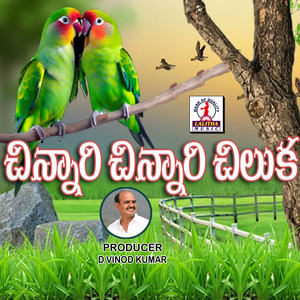 Chinnari Chinnari Chiluka
