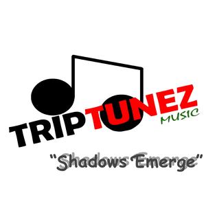 Shadows Emerge