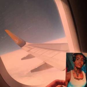 多少人用的是网愈云