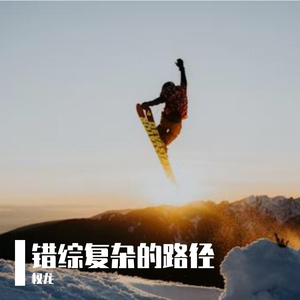 错综复杂的路径