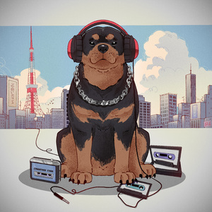 Сходи с ума, жалей ни о чём