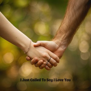 I Just Called To Say I Love You