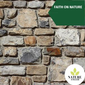 Distilling Light Rain
