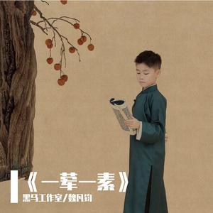 黑马音乐丨魏凡钧 - 一荤一素