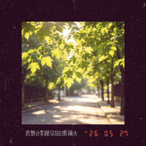 我想分享给你的日常镜头