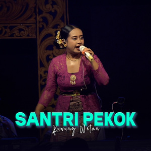 Santri Pekok