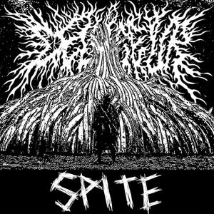 Spite
