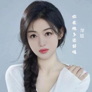 你在他乡还好吗