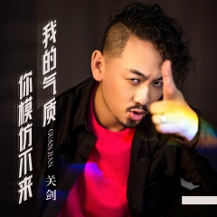 我的气质你模仿不来 (DJ版)