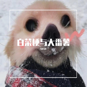 白菜梗与大番薯