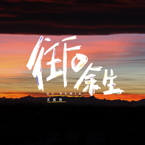 王贰浪-往后余生（DJ版）