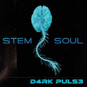 Stem Soul (Original Mix)