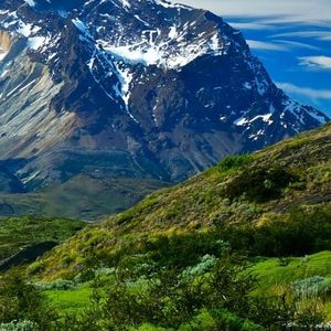 漂洋过海来看你