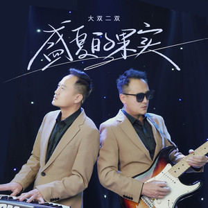 盛夏的果实 (DJ小蒋版)