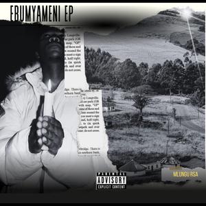 Baningi (feat. Da Punisha & Mapendane)