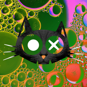 Dogs Are in This House (Sacha Robotti Remix)