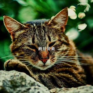 Romantic Smooth Sundays