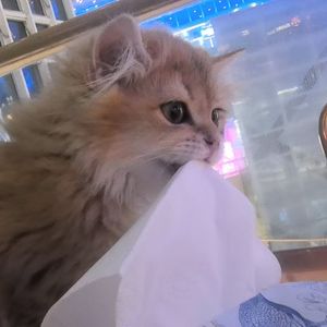 曾经我也想过一了百了