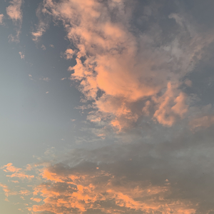 盛大而欢喜的秘密（prod.MEGA）