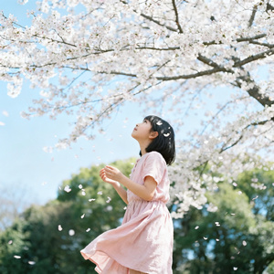 等你的季节