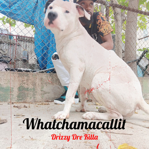 Whatchamacallit
