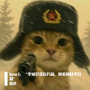 beat：“半城甘霖瓦片新，悯农何故半日凝”
